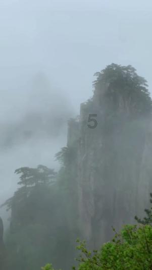 逗小猴开心系列191